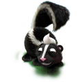 SKUNK