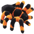 Pavouk tarantule 18 cm