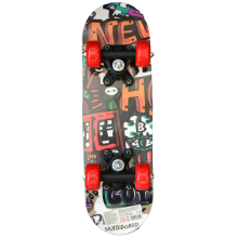                             Skateboard NEV GOT 43cm                        