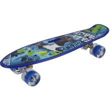                             Skateboard FAST TRACK 54,5cm                        