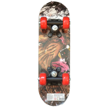                             Skateboard AFRIKA 43cm                        