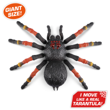                             ZURU - ROBO ALIVE -  Obří tarantule 38 cm                        