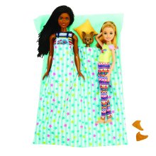                             Barbie karavan snov s obrovskou šmykľavkou                        