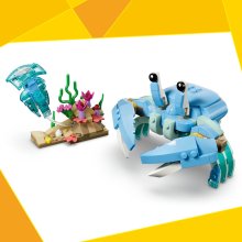                             LEGO® Creator 3 v 1 31385 Morské živočíchy: Krásne delfíny                        