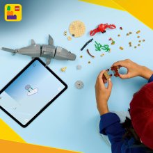                             LEGO® Creator 31381 Divoký žralok a truhlica s pokladom                        