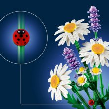                             LEGO® Botanicals 11508 Margarétky                        