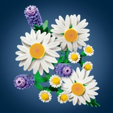                             LEGO® Botanicals 11508 Margarétky                        