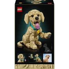                             LEGO® Icons 11384 Šteňa zlatého retrievera                        
