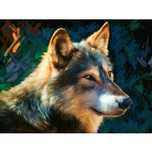                             Diamantové maľovanie - Vlk 40 x 50 cm                        
