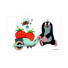                             Dino - Drevené licenčné kocky Krtko 6 kociek                        