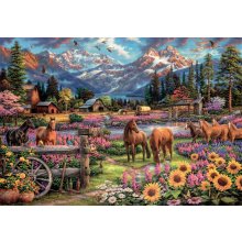                             Puzzle 3000 Voľnosť                        