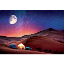                             Puzzle 500 Peace Puzzle: Hviezdna noc                        