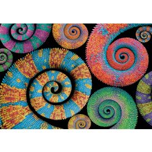                            Puzzle 500 Colorboom: Kudrlinky                        