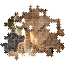                             Puzzle 500 Láska                        