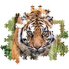                             Puzzle 1000 Lovecký chodník                        