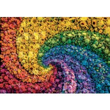                             Puzzle 1000 Whirl Colorboom                        