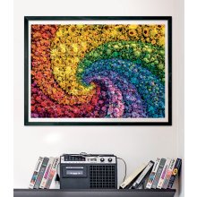                             Puzzle 1000 Whirl Colorboom                        