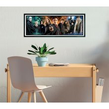                             Puzzle 1000 Panorama Harry Potter                        