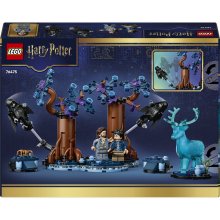                            LEGO® Harry Potter™ 76475 Zakázaný les: Expecto Patronum                        