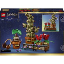                             LEGO® Harry Potter™ 76474 Rokfort: Rastliny z herbológie                        
