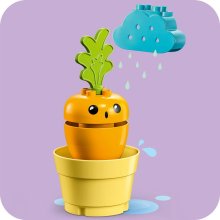                             LEGO® DUPLO® 10981 Pestovanie mrkvy                        