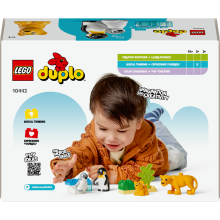                             LEGO® DUPLO® 10442 Rodinky divokých zvierat: Tučniaky a levy                        