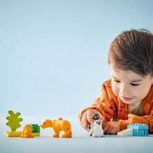                             LEGO® DUPLO® 10442 Rodinky divokých zvierat: Tučniaky a levy                        