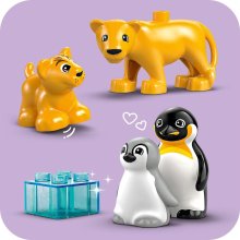                             LEGO® DUPLO® 10442 Rodinky divokých zvierat: Tučniaky a levy                        