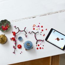                             LEGO® Botanicals 10369 Marhuľa japonská                        