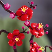                             LEGO® Botanicals 10369 Marhuľa japonská                        
