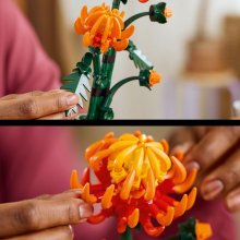                             LEGO® Botanicals 10368 Chryzantéma                        