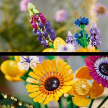                             LEGO® Botanicals 10313 Kytica lúčneho kvetu                        