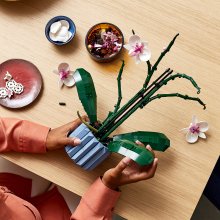                             LEGO® Botanicals 10311 Orchidea                        