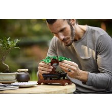                             LEGO® Botanicals 10281 Bonsaj                        