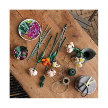                             LEGO® Botanicals 10280 Kytica                        