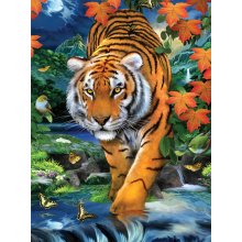                             Maľovanie podľa čísel 22x30 cm Tiger                        