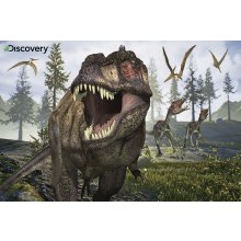                             PRIME 3D PUZZLE - Tyrannosaurus Rex 150 dielikov                        