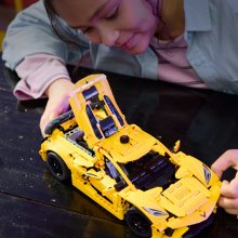                             LEGO® Technic 42205 Chevrolet Corvette Stingray                        