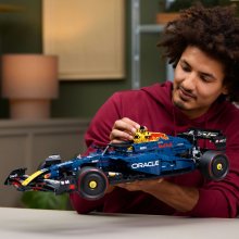                             LEGO® Technic 42206 Auto Oracle Red Bull Racing RB20 F1                        