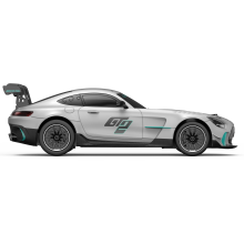                             Rastar R/C 1:24 Mercedes-AMG GT2                        