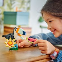                             LEGO® Creator 3v1 31173 Divoké zvieratá: Tropický tukan                        