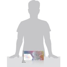                             Pokémon TCG: SV8.5 Prismatic Evolutions - Super-Premium Collection                        