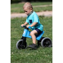                             TEDDIES - Odrážadlo FUNNY WHEELS Rider Sport 2v1 modré                        