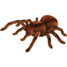                             R/C Pavúk Tarantula s biomimikrami a svietiacimi očami                        