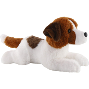 Jack Russell teriér 26 cm