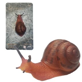 Živá príroda: Snail - realistický model slimáka (13 cm)