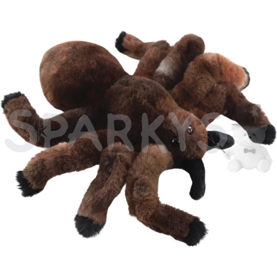 Pavúk pivnica 19 cm                    