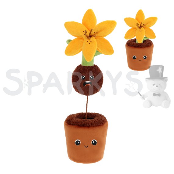 Keeleco Botanická záhrada: Prekvapenie v ľalii 25 cm                    